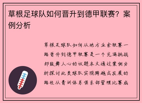 草根足球队如何晋升到德甲联赛？案例分析